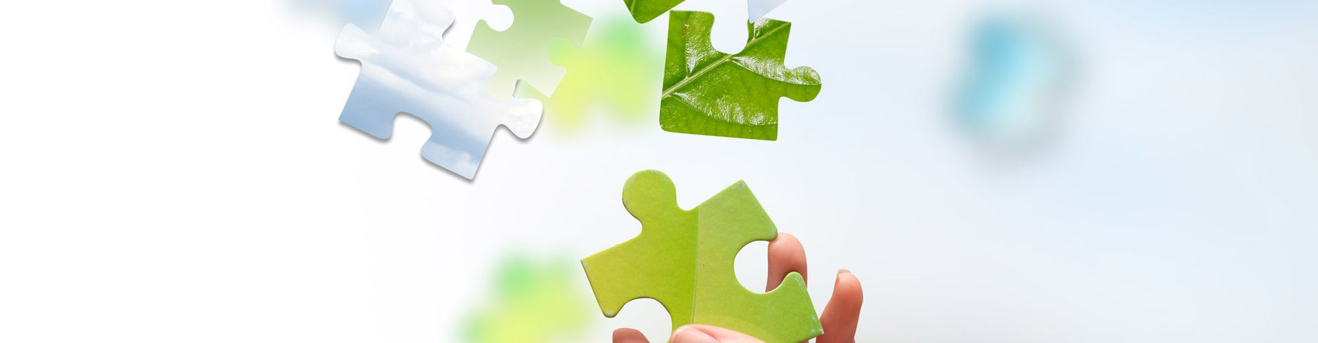 energy-management-studio-petrola